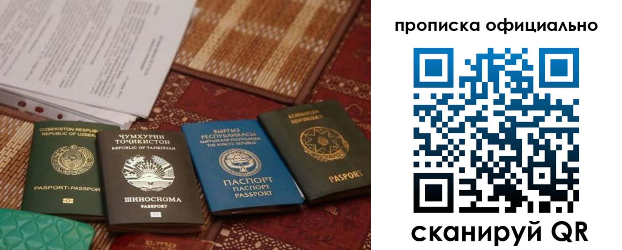 где прописаться в Судогде